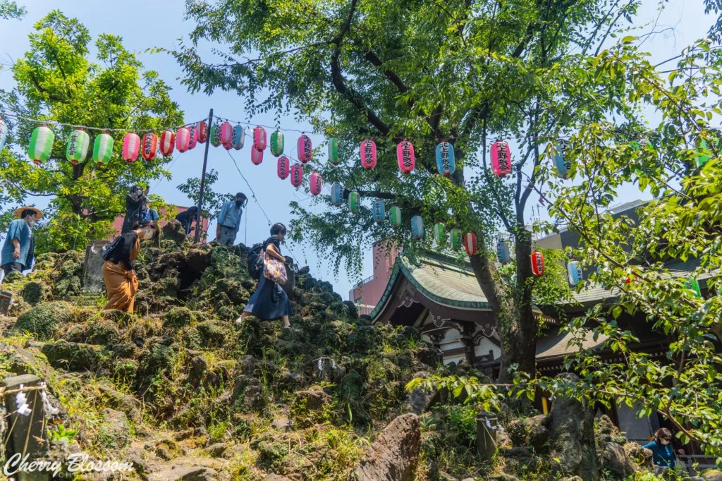 ⛩️ 오노 테루사키 신사(小野照崎神社) 이미지 7
